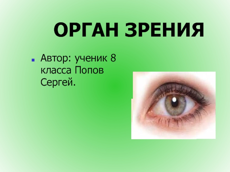 Орган зрения (8 класс)