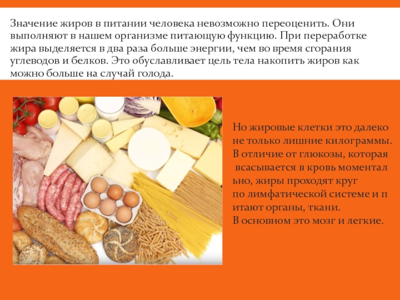 Проект жиры как продукт питания и химическое сырье