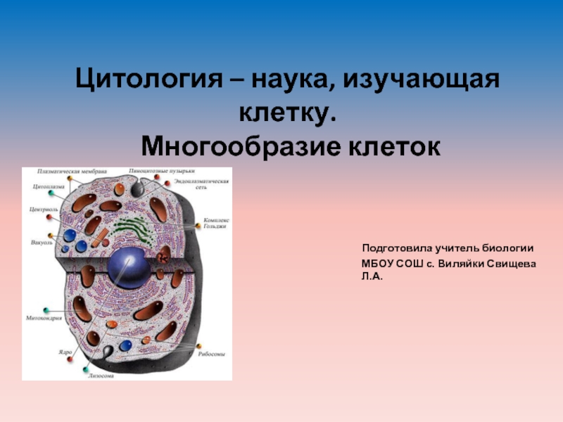 Презентация Цитология – наука, изучающая клетку. Многообразие клеток.
