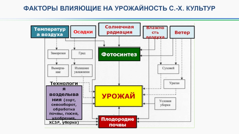 Факторы влияющие на плодородие