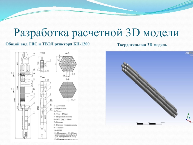 Разработка расчетной 3D моделиОбщий вид ТВС и ТВЭЛ реактора БН-1200Твердотельная 3D модель