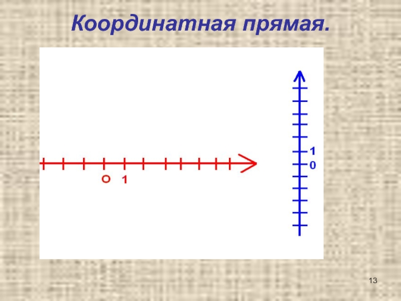 Координаты координатная прямая