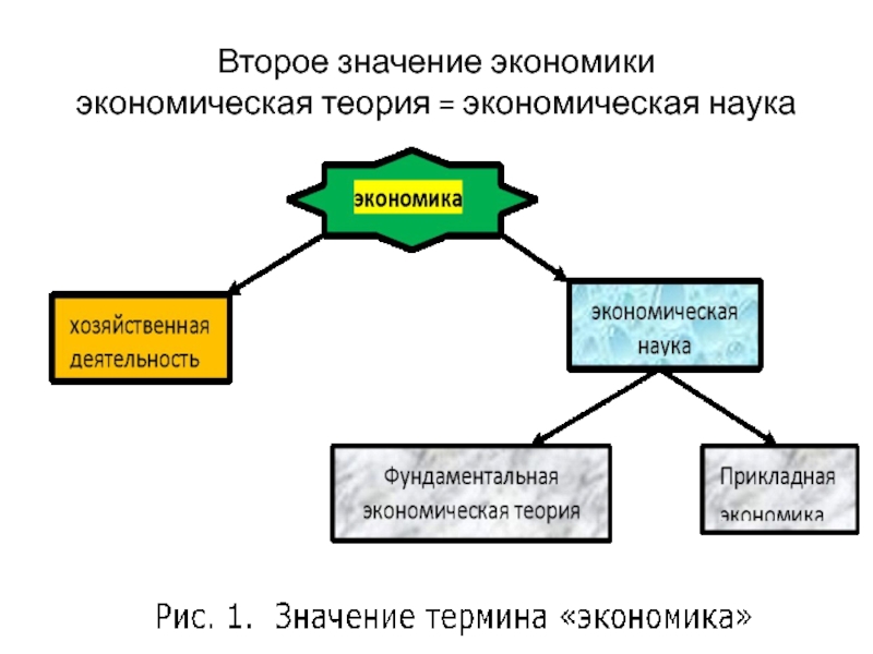 Основные элементы экономической науки