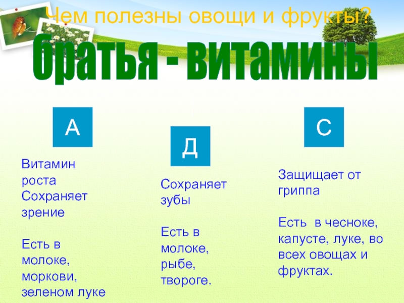 Почему надо есть много овощей и фруктов презентация 1 класс