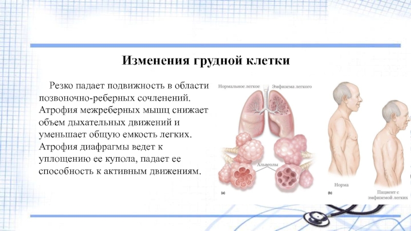 Изменения грудной. Изменения грудной клетки в пожилом возрасте. Возрастные изменения грудной клетки. Возрастные изменения грудной клетки у пожилых. Изменение грудной клетки с возрастом.