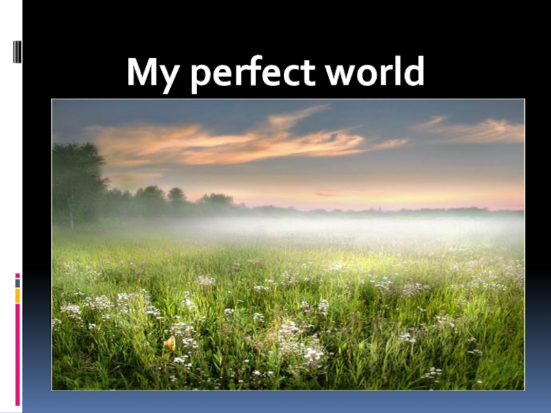 My perfect world