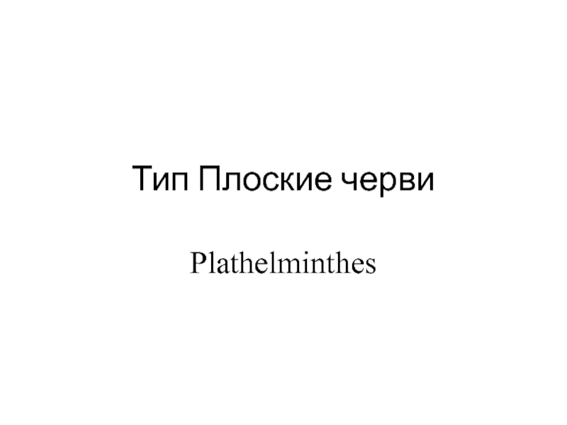 Тип Плоские черви Plathelminthes