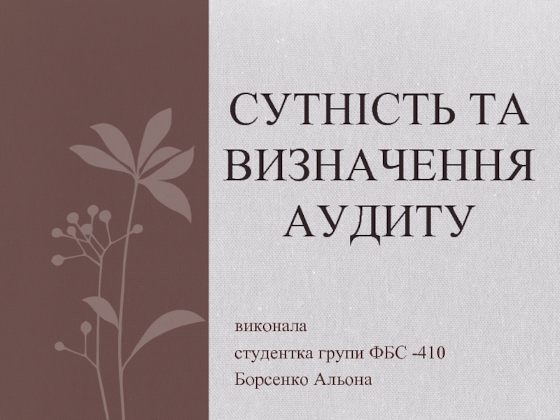 Сутність та визначення аудиту