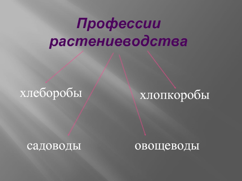 Проект по технологии 6 класс растениеводство