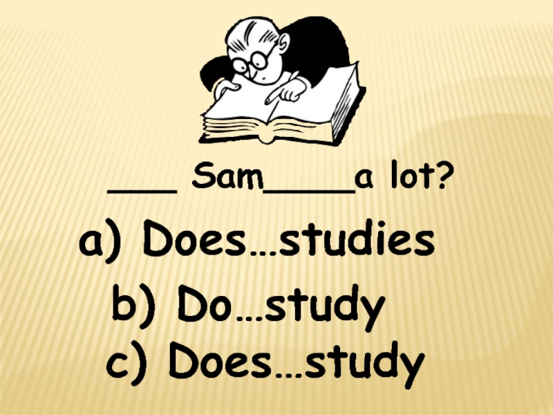 Where did you study. Does и study. Перевод слова study. Sam study hard. What does study Sam.