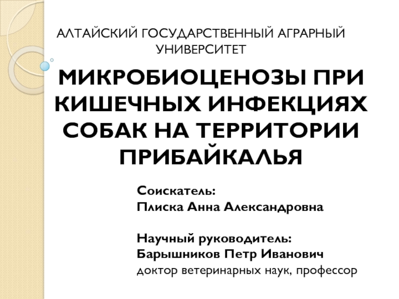 Презентация МИКРОБИОЦЕНОЗЫ ПРИ КИШЕЧНЫХ ИНФЕКЦИЯХ СОБАК НА ТЕРРИТОРИИ