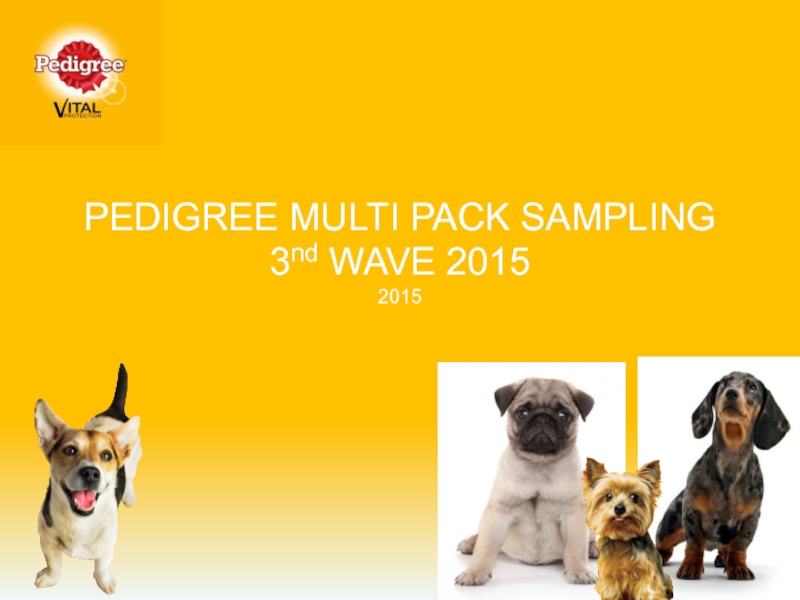 PEDIGREE MULTI PACK SAMPLING 3 nd WAVE 2015 2015