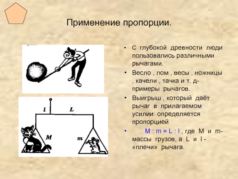 Загадочный мир пропорций проект по математике