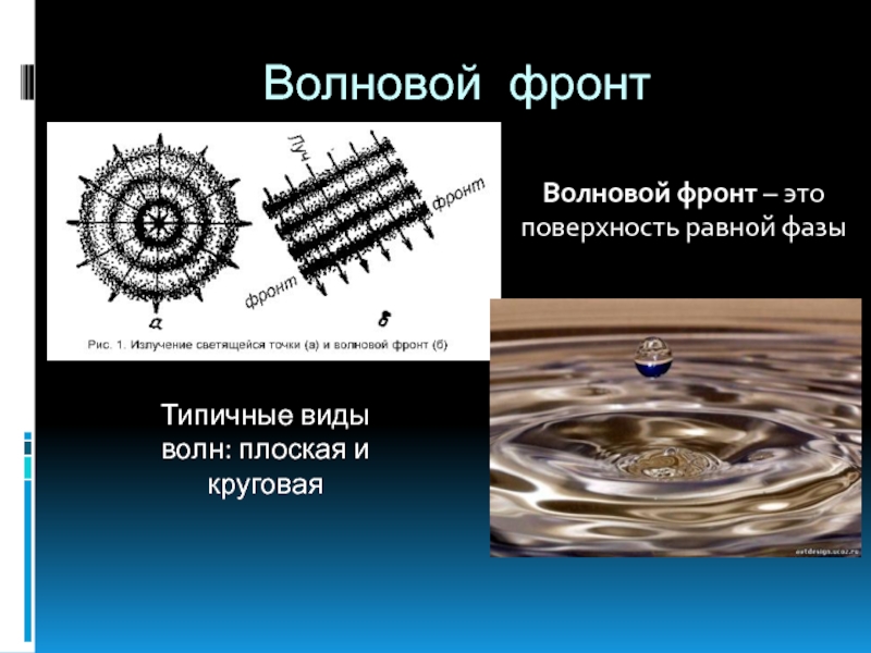 Фронт волны. Волновой фронт. Волновая поверхность и фронт. Волновая поверхность и фронт волны. Поверхность равных фаз.