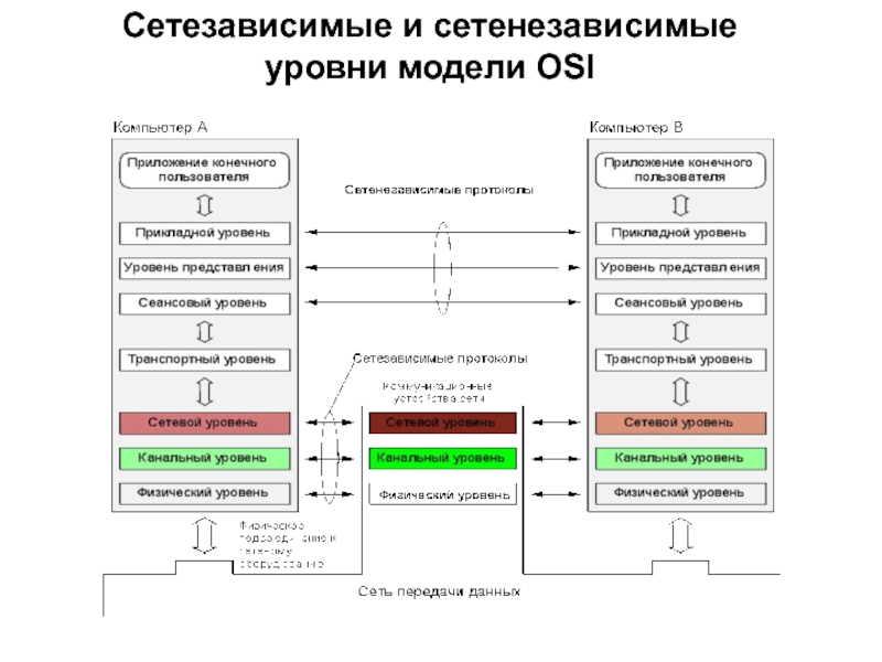 Эталонная модель данных