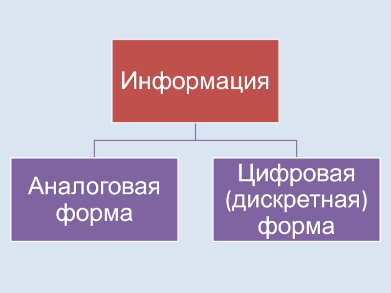 Представление данных презентация 10 класс