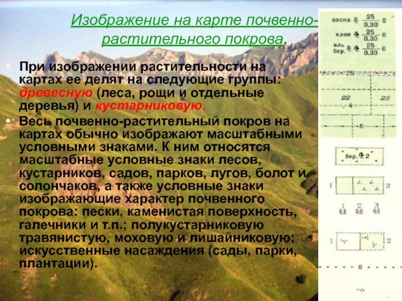 Классификация и изображение на картах почвенно растительного покрова