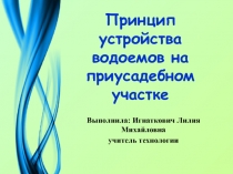 Принцип устройства водоемов на приусадебном участке