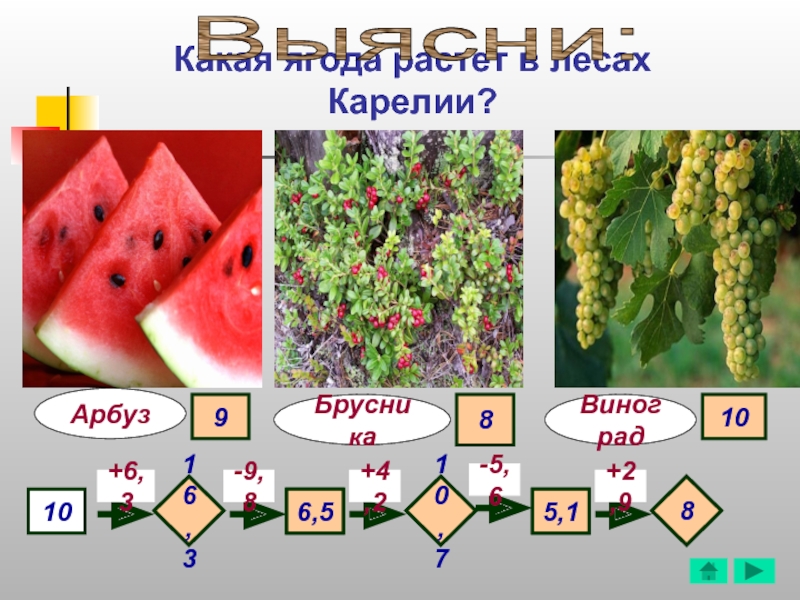 Какая ягода растет в лесах Карелии?АрбузВиноград10+6,3-9,8+4,2-5,6+2,9810,716,36,55,1910Выясни:8Брусника