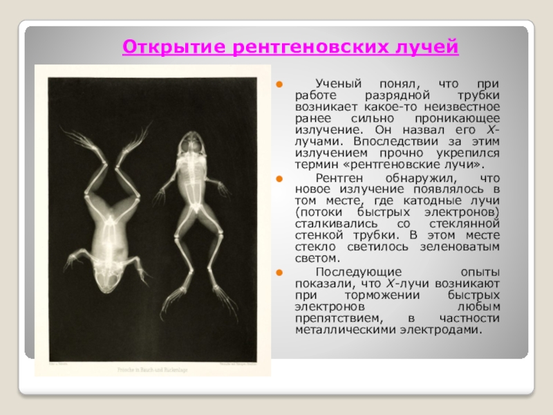 Рентгеновские лучи история открытия применение проект