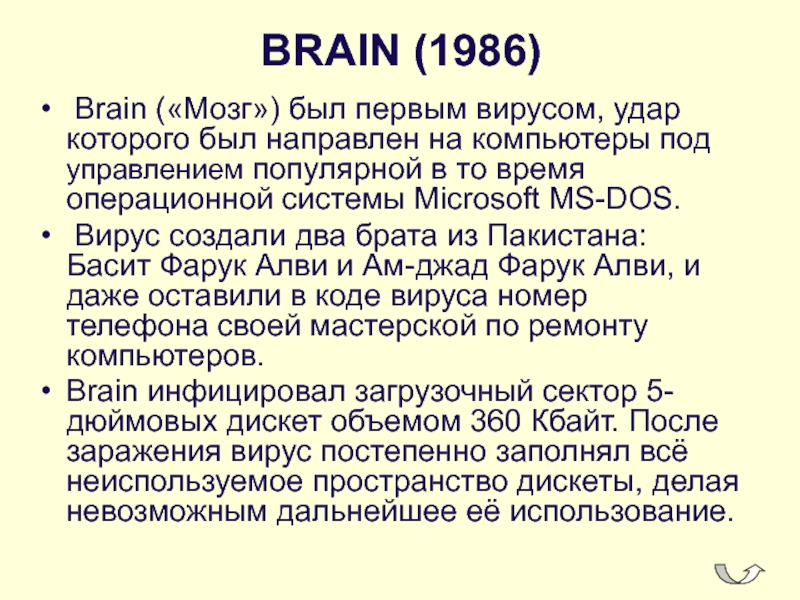 BRAIN (1986) Brain («Мозг») был первым вирусом, удар которого был направлен на компьютеры под управлением популярной в то