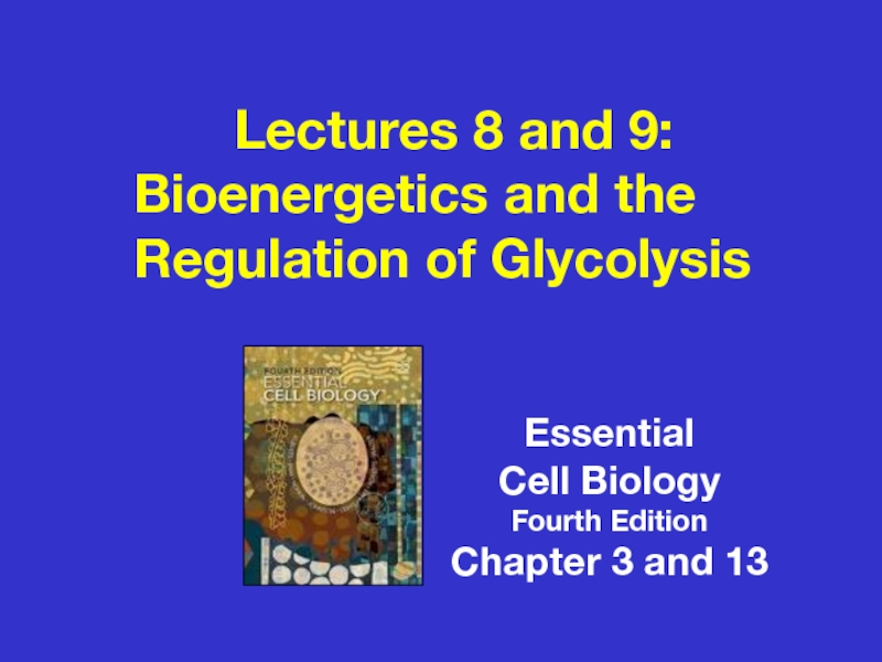 Lectures 8 and 9:
Bioenergetics and the Regulation of Glycolysis
Essential
Cell