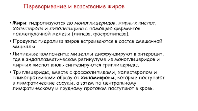 Всасывание жиров. Всасывание жирных кислот. ) Всасывание жирных кислот где. 18. Переваривание и всасывание жиров.. Переваривание жирных кислот лекция.