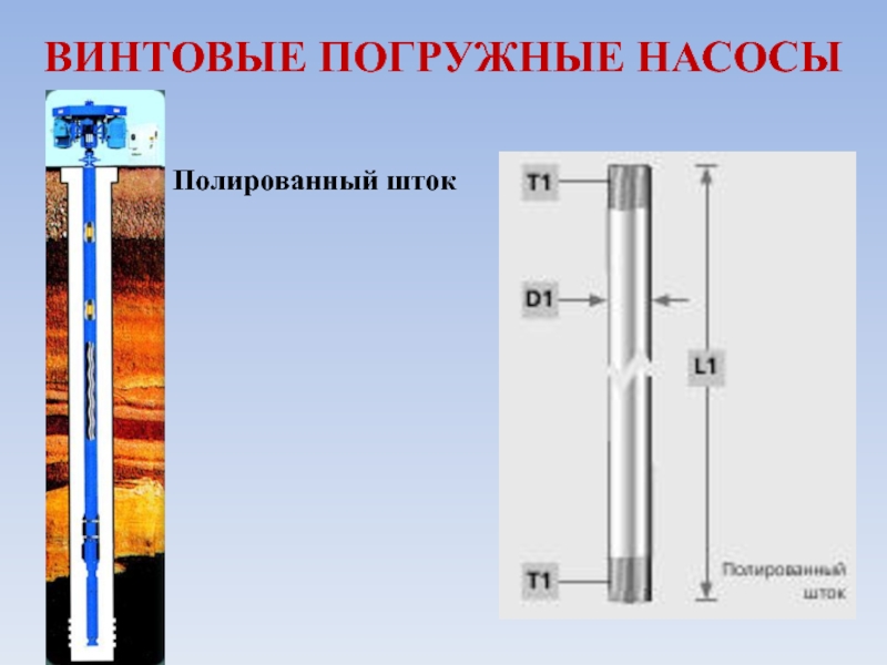 Винтовой насос презентация