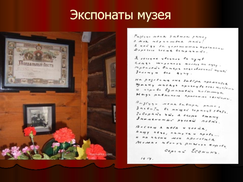 Урок литературы в 6 классе экспонат no. Экспонат с текстом музей. Красивые слова о экспонатах музея.