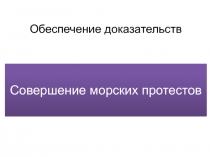 Обеспечение доказательств