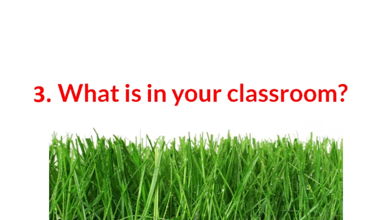 3. What is in your classroom?