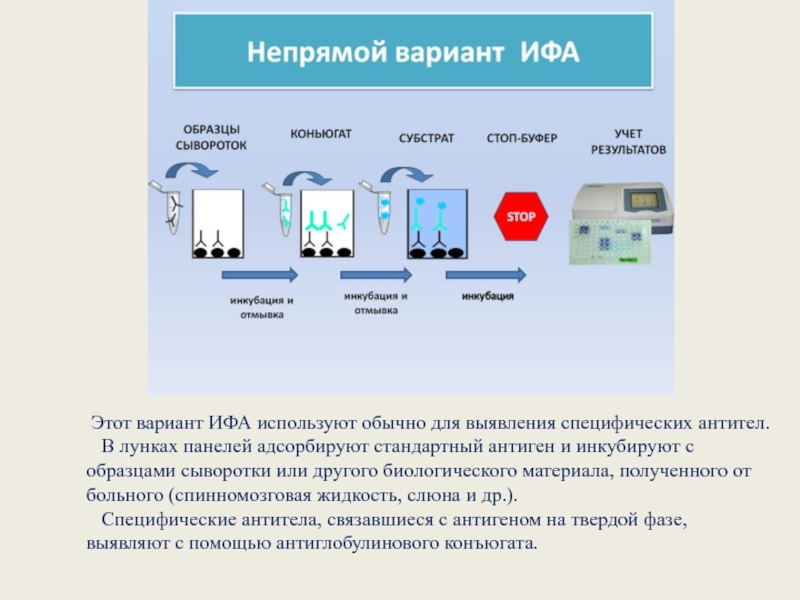 Презентация ифа метод