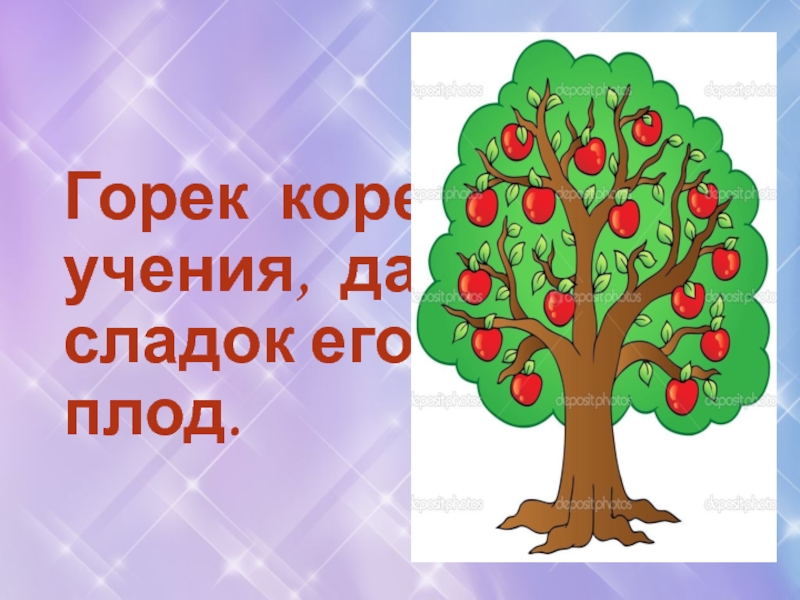 Сладкий плод учения. Корень учения горек да плод его сладок. Пословица корень учения горек да плод его сладок. Пословицы корень учения горек а плоды его Сладки. Корень учения горек да плод его сладок рисунок.