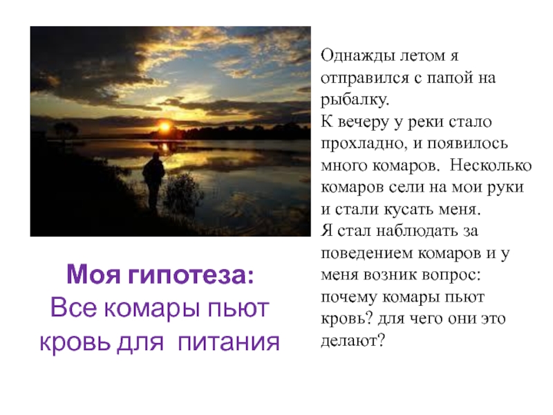 Летов однажды. Текст однажды летом. Однажды летом на рыбалке. Однажды летним днем. Однажды летом, я.