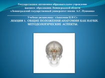 Государственное автономное образовательное учреждение
высшего образования