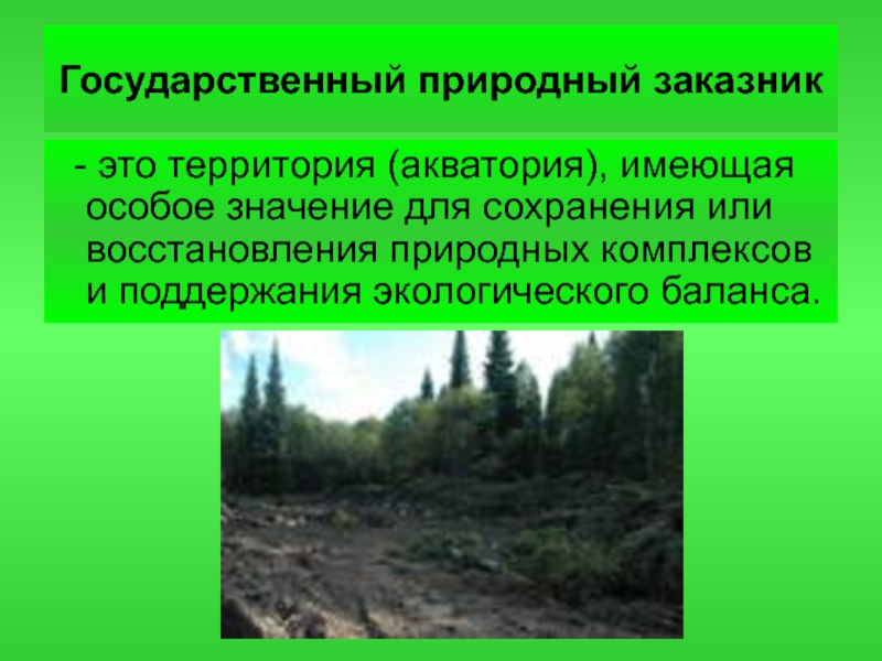 Природный заказник. Заповедники Новосибирской области. Государственные природные заказники. Заказники презентация. Государственные природные заказники презентация.