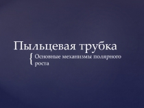 Пыльцевая трубка