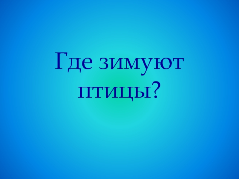 Где зимуют птицы?