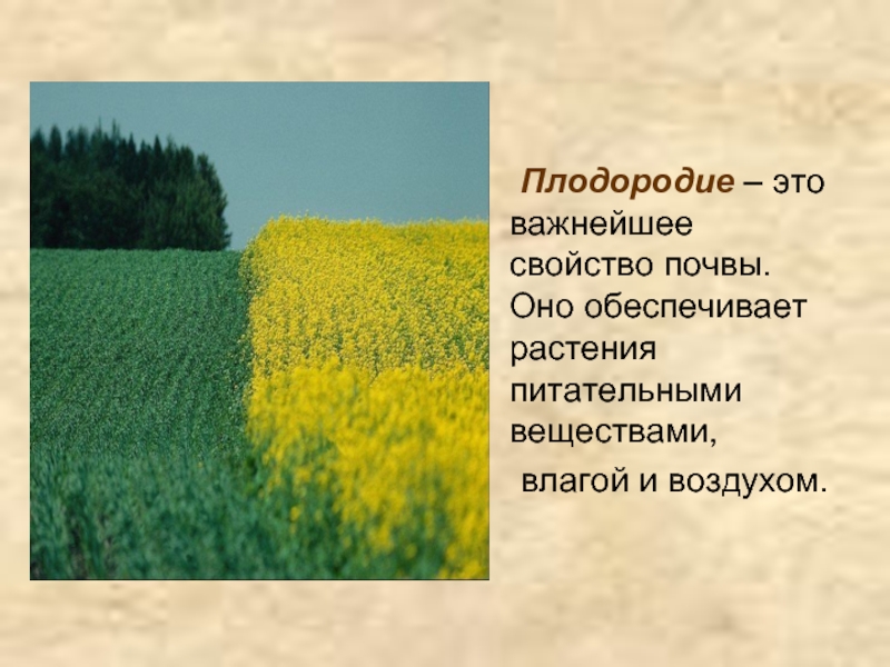 Плодородие это свойство почвы которое. Плодородие. Свойства плодородия. 10 Плодородие.