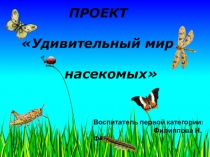 Презентация проекта 