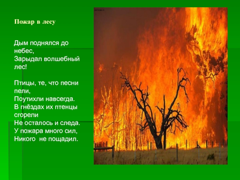 Пожары стих текст. Стихотворение Лесной пожар. Стихи про Лесные пожары. Стихи про пожар в лесу. Пожар в лесу рассказ.