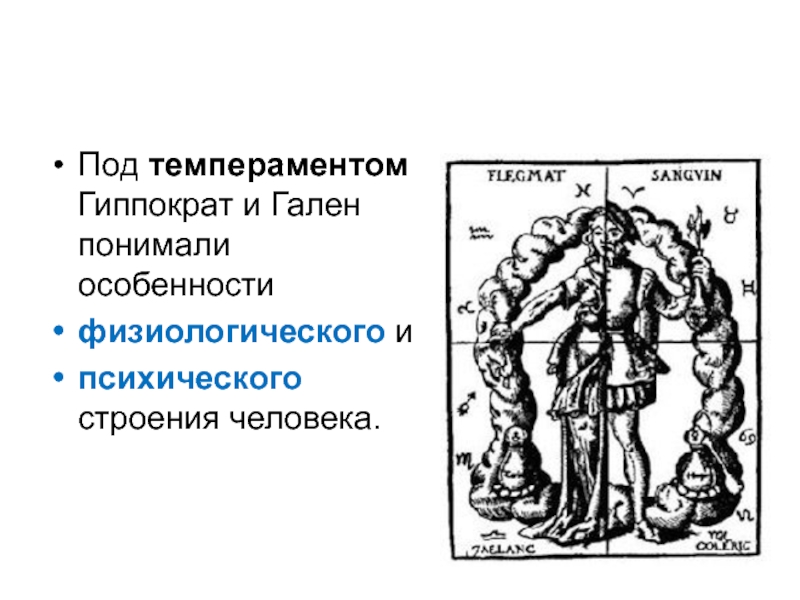 Типы темперамента человека презентация 8 класс