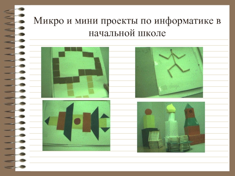 Презентация Микро и мини проекты по информатике в начальной школе
