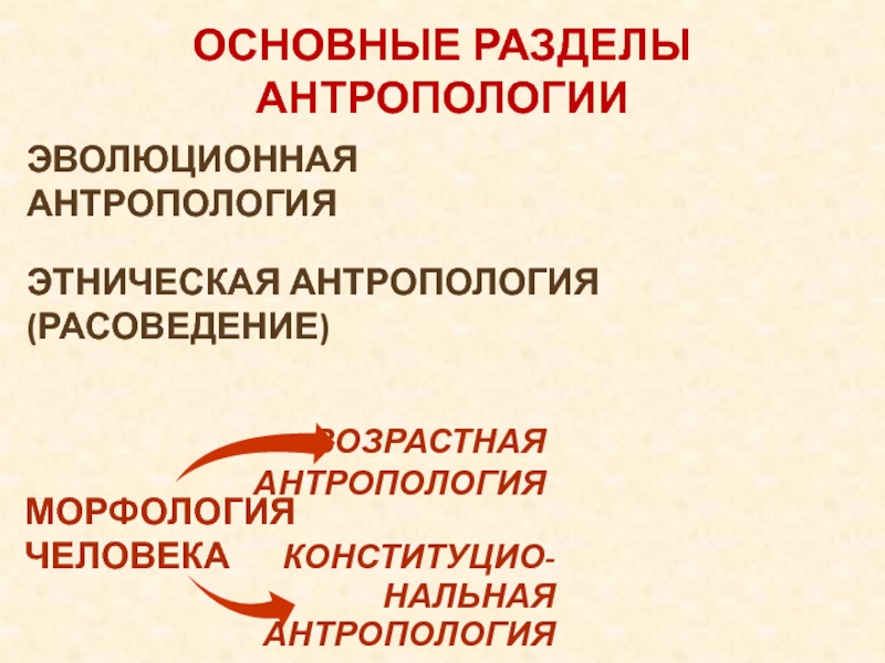 Разделы антропология социальная антропология