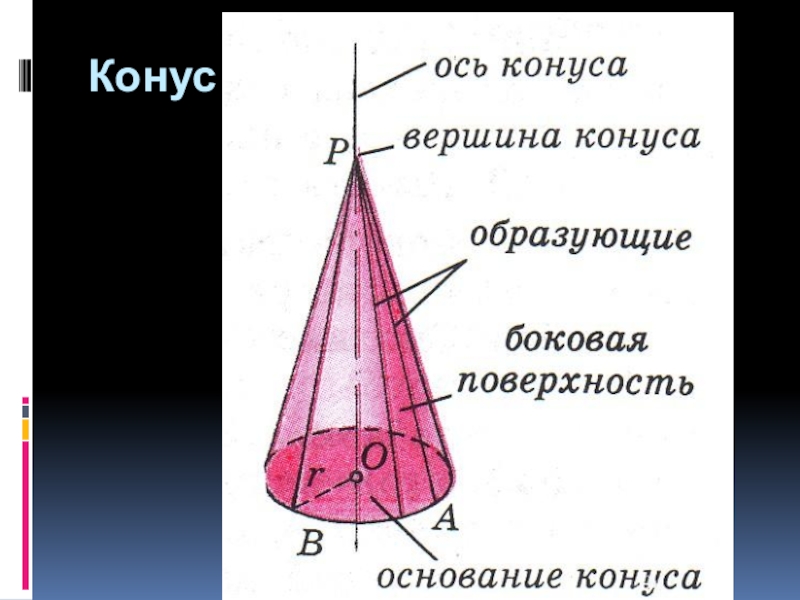 Образующая конуса картинка