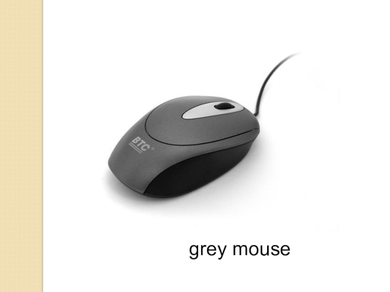 Grey Mouse. Грей Маус магазин. Серый Маус. Маус грей.