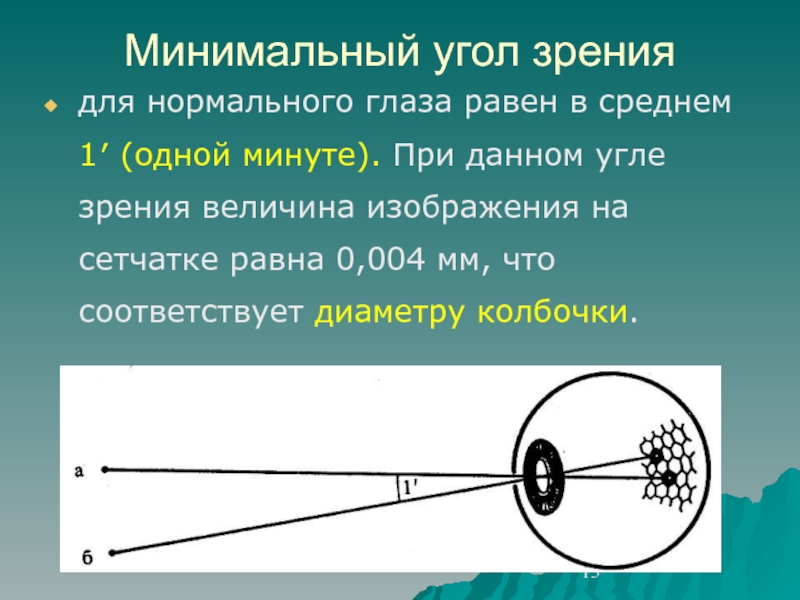 Для получения четкого изображения на сетчатке глаза при переводе