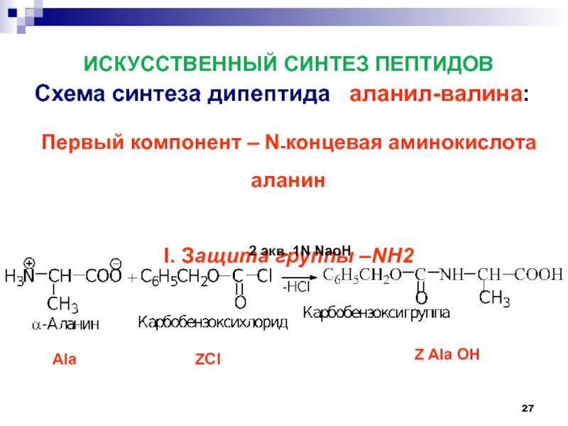 Концевые аминокислоты. Синтез дипептида методом защиты. Аминокислота Валин Синтез. Синтез пептидов из аминокислот реакции.