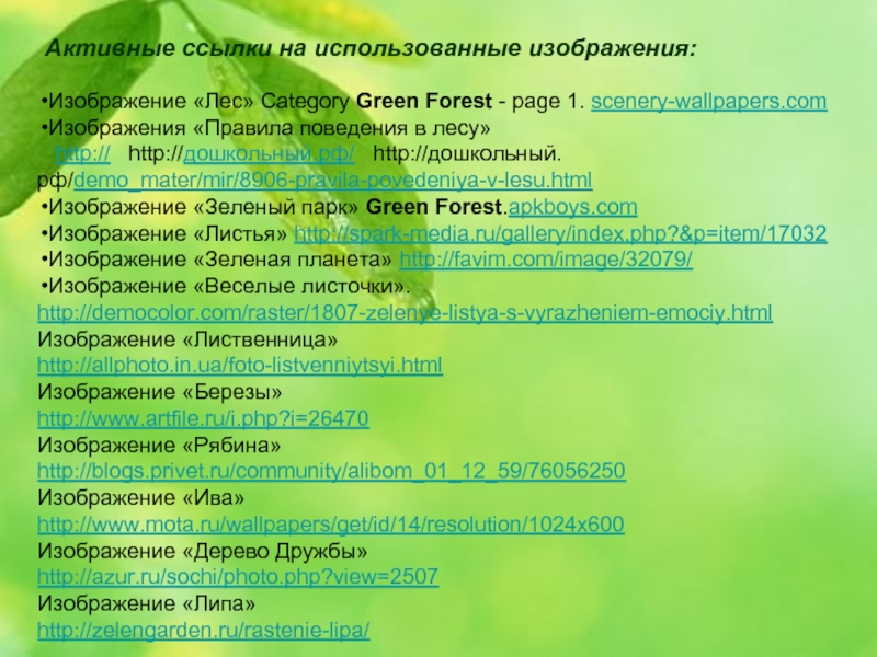 Изображение «Лес» Category Green Forest - page 1. scenery-wallpapers.comИзображения «Правила поведения в лесу»  http://  http://дошкольный.рф/  http://дошкольный.рф/demo_mater/mir/8906-pravila-povedeniya-v-lesu.html