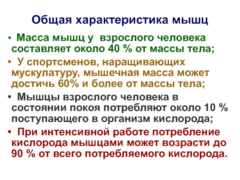 Характеристика мышц. Общая характеристика мышц. Общая характеристика мышечной системы. Общая характеристика мышц кратко. Химический состав мышц человека.